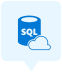 SQL Database management & development company